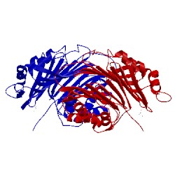 Image of CATH 1msv