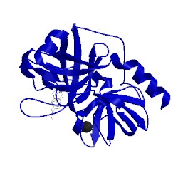 Image of CATH 1mts