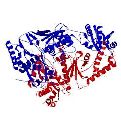 Image of CATH 1mu2