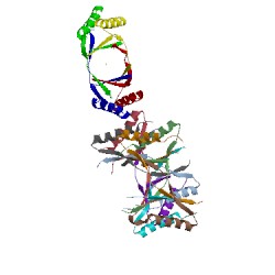 Image of CATH 1mvk