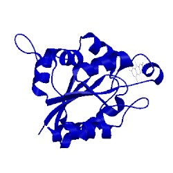 Image of CATH 1mvl