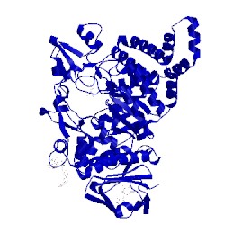 Image of CATH 1mvy