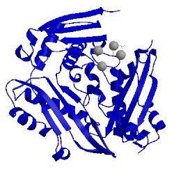 Image of CATH 1mxa