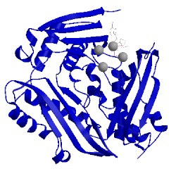 Image of CATH 1mxb