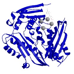 Image of CATH 1mxc