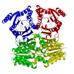 Image of CATH 1mxf