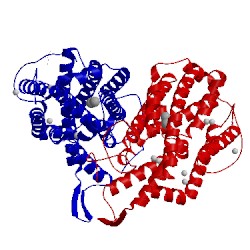 Image of CATH 1mxr