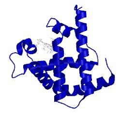 Image of CATH 1myf