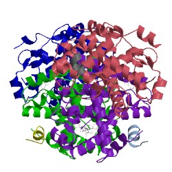 Image of CATH 1mzn