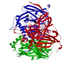 Image of CATH 1mzz