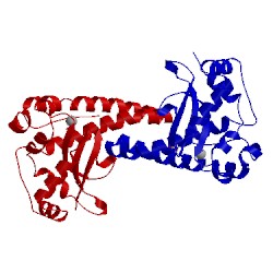 Image of CATH 1n0n