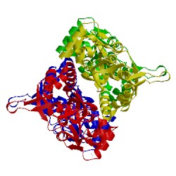 Image of CATH 1n0t
