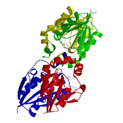 Image of CATH 1n1d