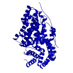 Image of CATH 1n21