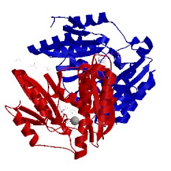 Image of CATH 1n2e