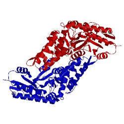 Image of CATH 1n31