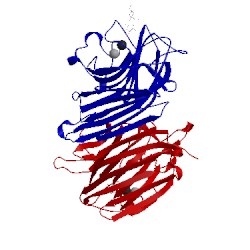 Image of CATH 1n3q