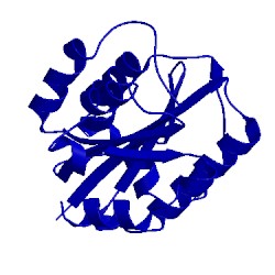 Image of CATH 1n3y