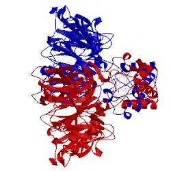 Image of CATH 1n50