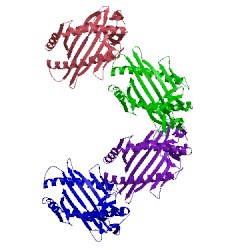 Image of CATH 1n5a
