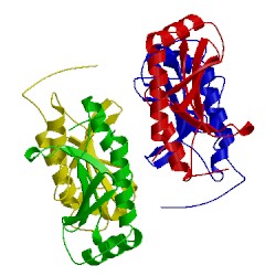 Image of CATH 1n5b