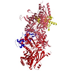 Image of CATH 1n5w