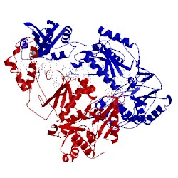 Image of CATH 1n5y