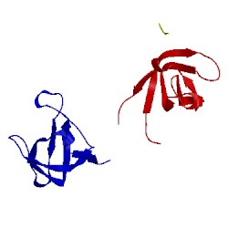 Image of CATH 1n5z