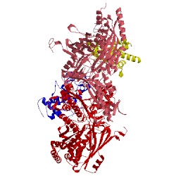 Image of CATH 1n61