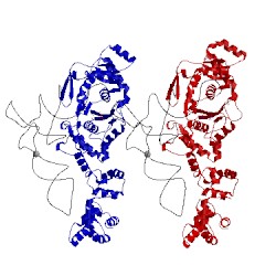 Image of CATH 1n77