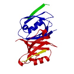 Image of CATH 1n7f