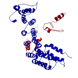 Image of CATH 1n94