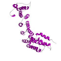 Image of CATH 1n94A