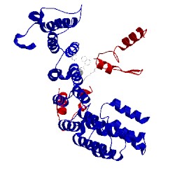 Image of CATH 1n95