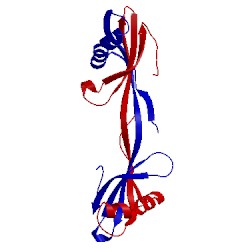 Image of CATH 1n9j