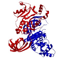 Image of CATH 1n9w