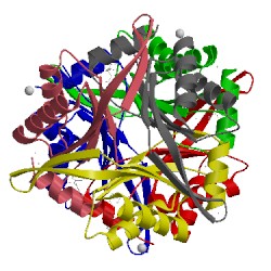 Image of CATH 1naq