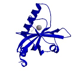 Image of CATH 1nb0