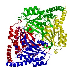 Image of CATH 1nba