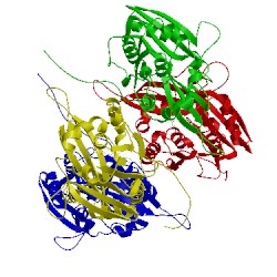 Image of CATH 1nbh