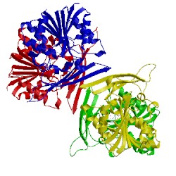 Image of CATH 1nbi