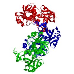 Image of CATH 1nbo
