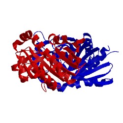 Image of CATH 1nc1