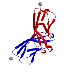 Image of CATH 1nch