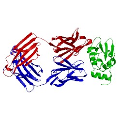 Image of CATH 1ndm