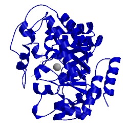 Image of CATH 1ndv