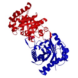 Image of CATH 1nf0