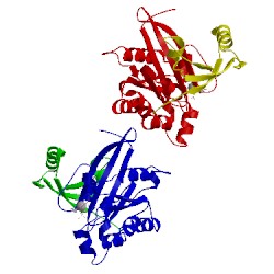 Image of CATH 1nf3