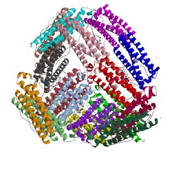 Image of CATH 1nf6