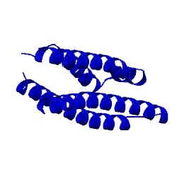 Image of CATH 1nfo